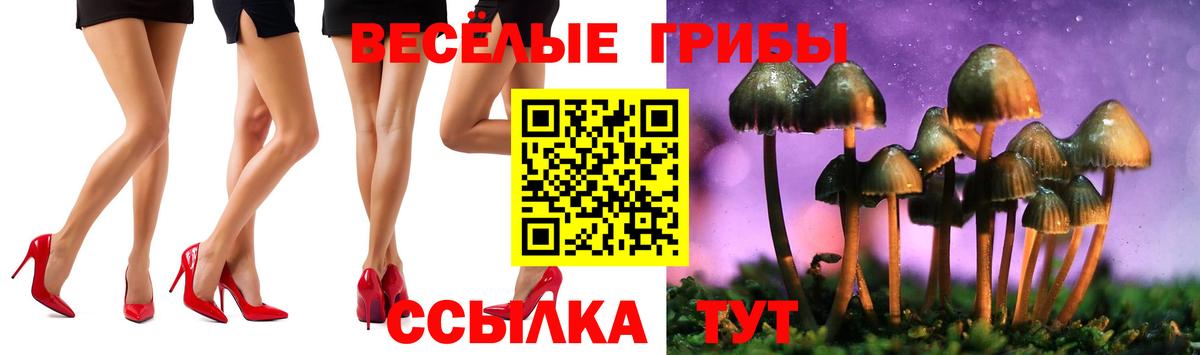 Куйбышев  Галлюциногенные грибы Psilocybine cubensis  Галлюциногенные грибы мицелий  Вход с VPN 